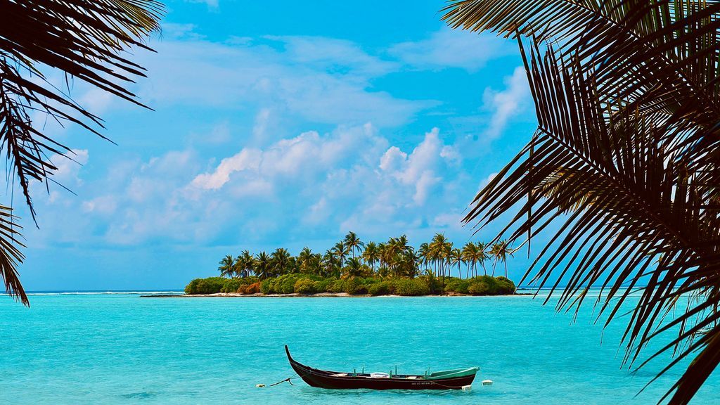 Lakshadweep marine life